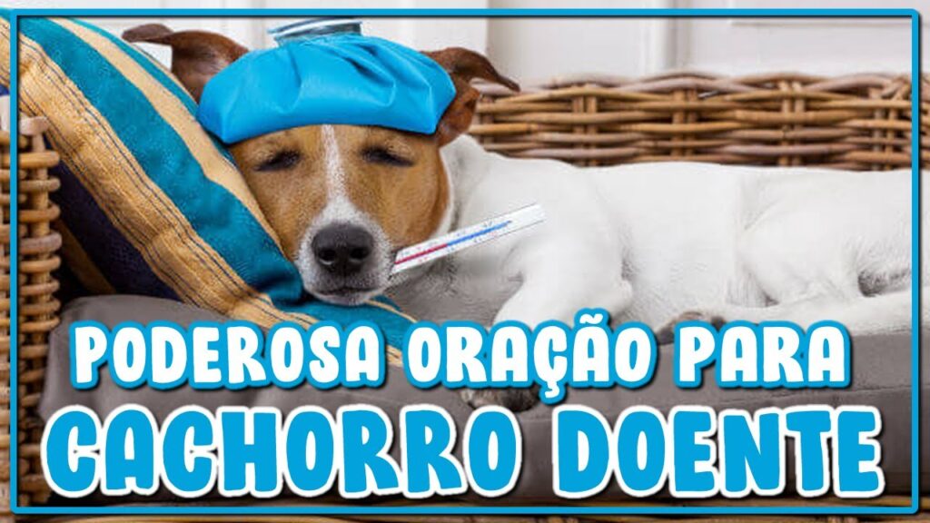 ORAÇÃO PARA CACHORRO DOENTE